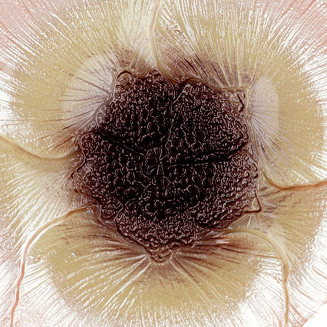 Fotografia para o produto Centro de mesa em vidro 019xA2,5cm cor rosa e marrom