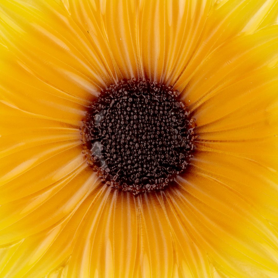 Fotografia para o produto Centro de mesa em vidro 021xA4,5cm cor amarelo e marrom