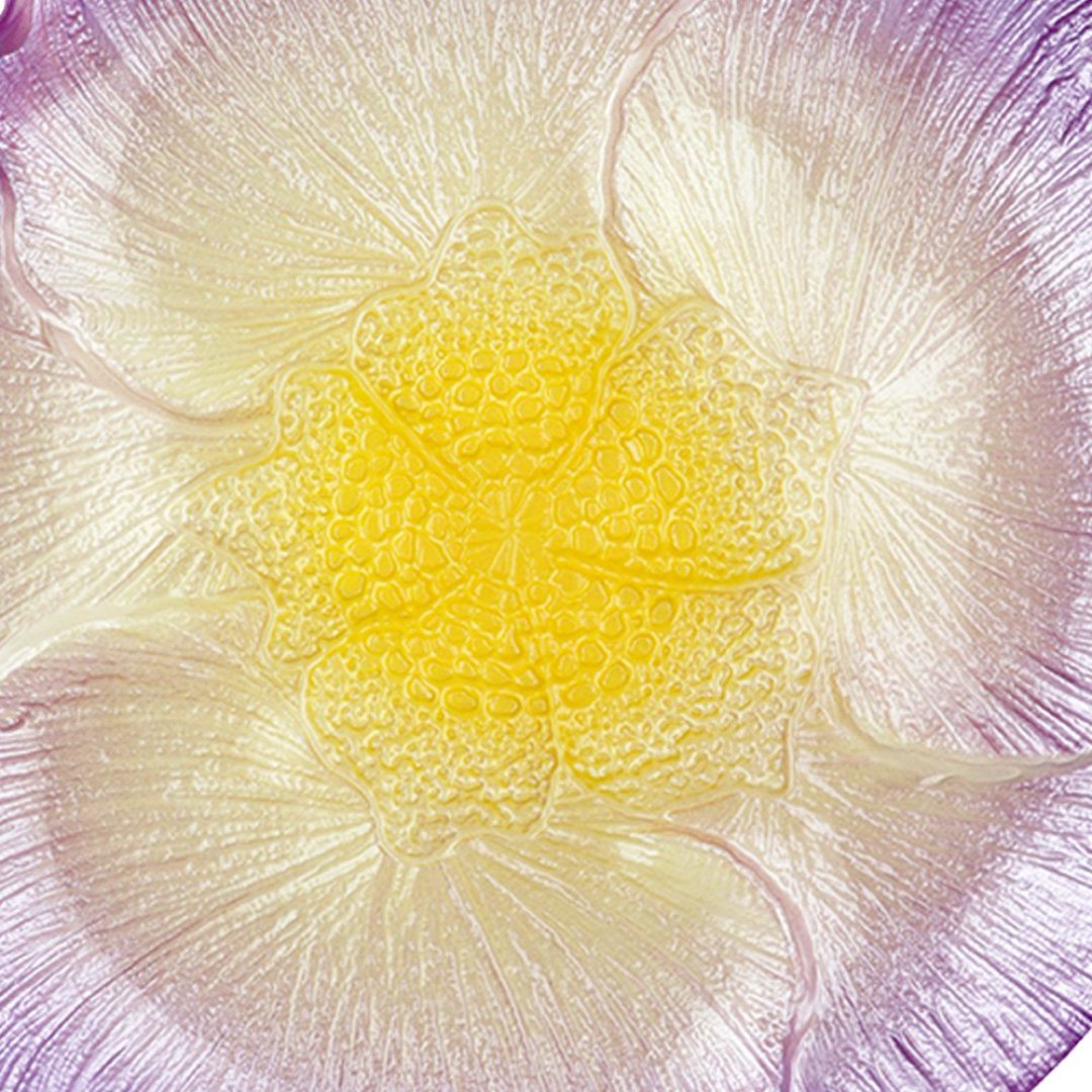 Fotografia para o produto Centro de mesa em vidro 024,5xA2,5cm cor lilás e marrom