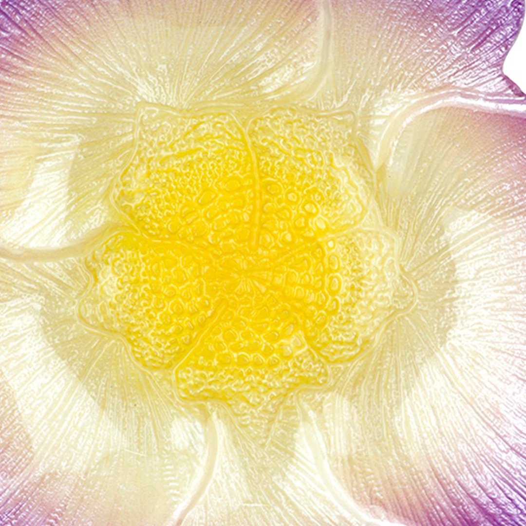 Fotografia para o produto Centro de mesa em vidro 026xA7cm cor lilás e marrom