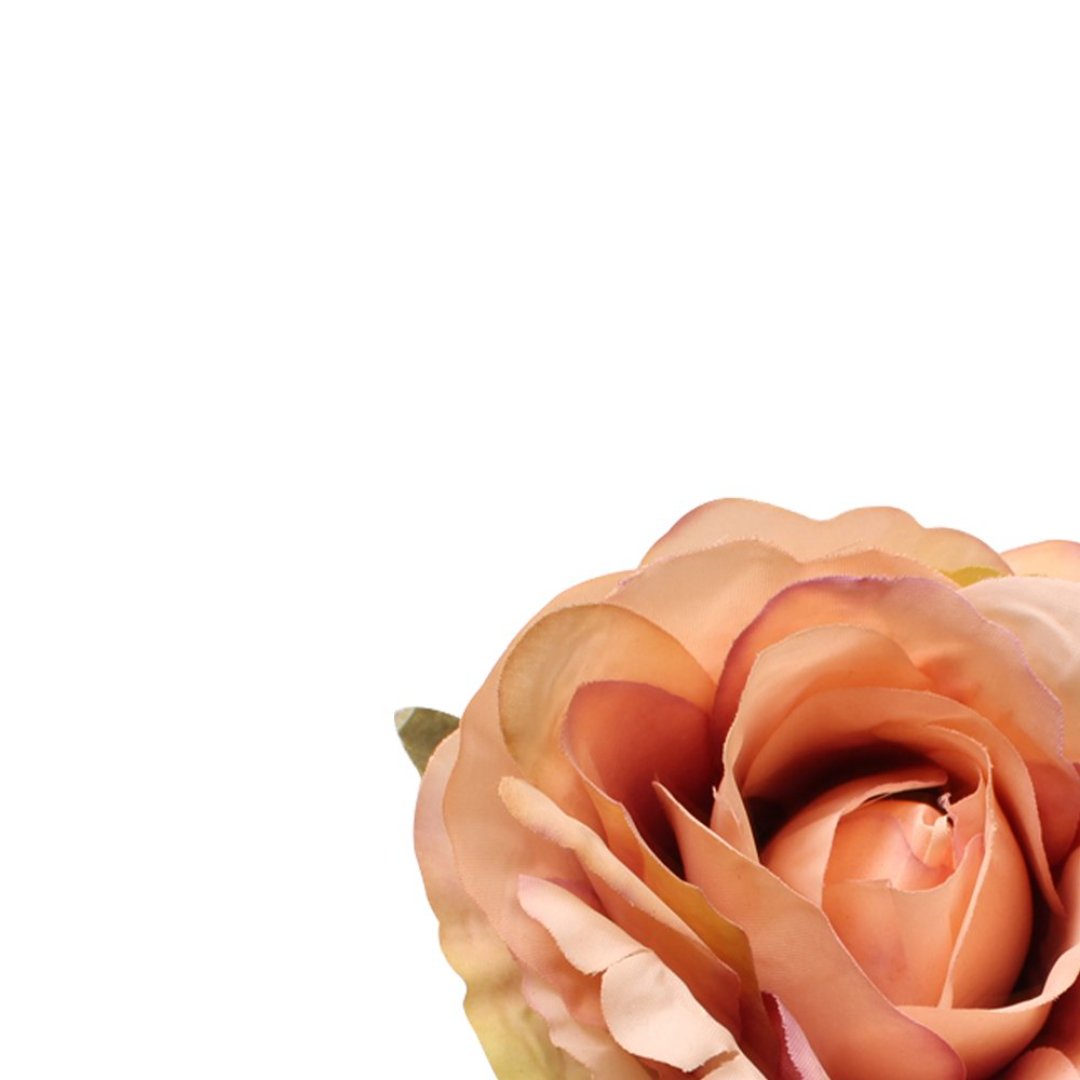 Fotografia para o produto Jogo de 4 anéis Rosa para guardanapo em plástico 07xA11cm cor laranja