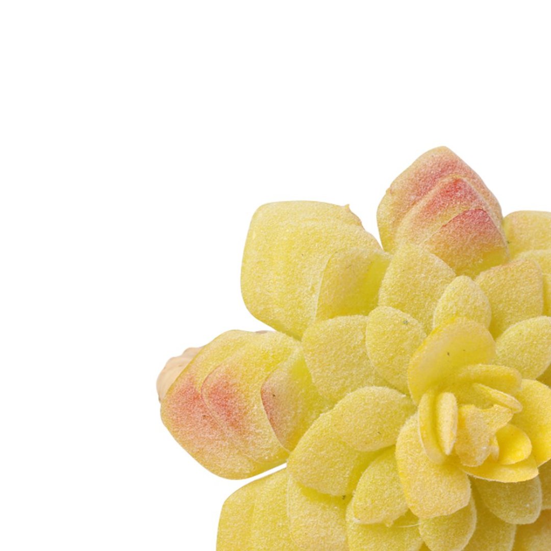 Fotografia para o produto Jogo de 4 anéis Suculenta para guardanapo em plástico 07xA8cm cor amarela