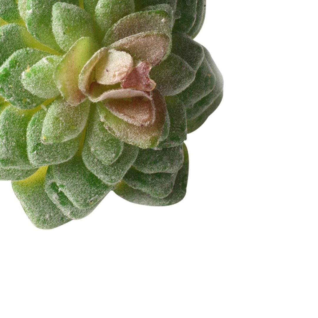 Fotografia para o produto Jogo de 4 anéis suculenta para guardanapo em plástico 07xA8cm cor verde