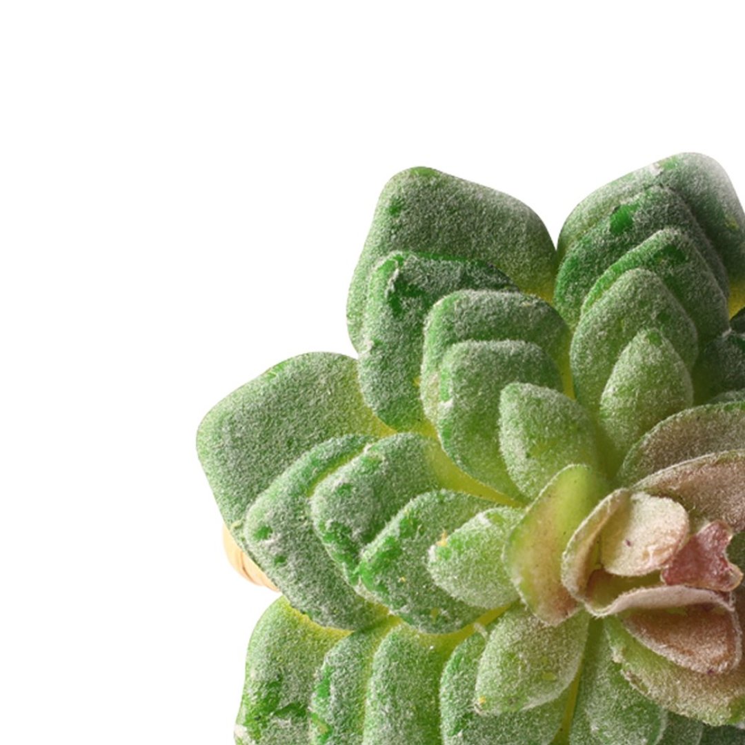 Fotografia para o produto Jogo de 4 anéis suculenta para guardanapo em plástico 07xA8cm cor verde