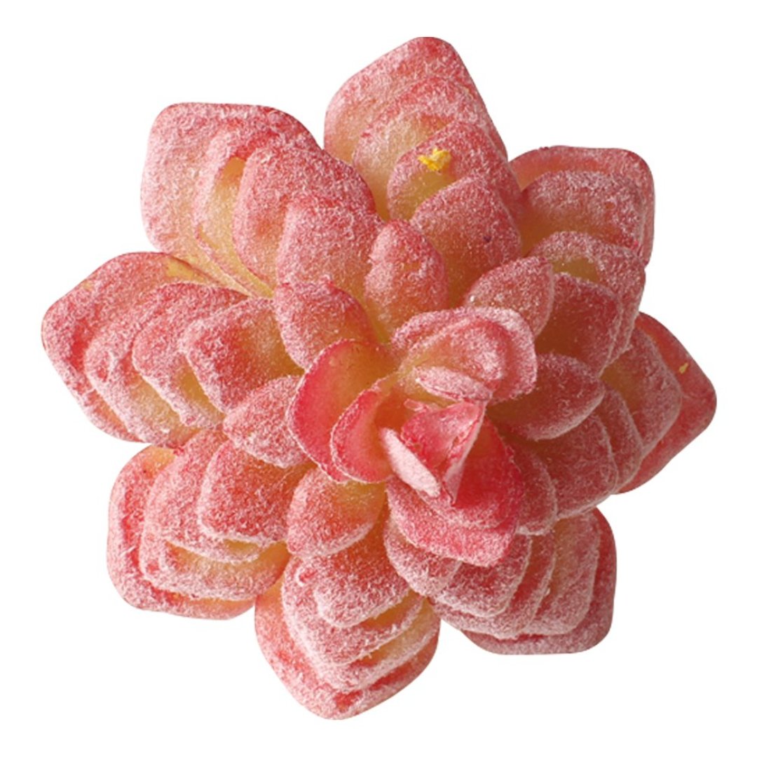 Fotografia para o produto Jogo de 4 aneis Suculenta para guardanapo em plástico 07xA8cm cor vermelha