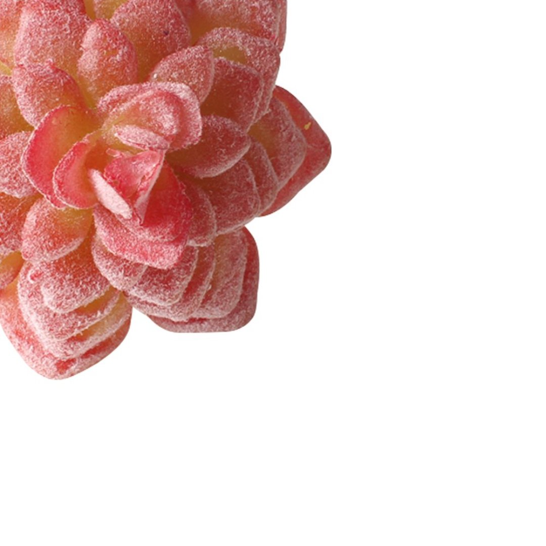 Fotografia para o produto Jogo de 4 aneis Suculenta para guardanapo em plástico 07xA8cm cor vermelha