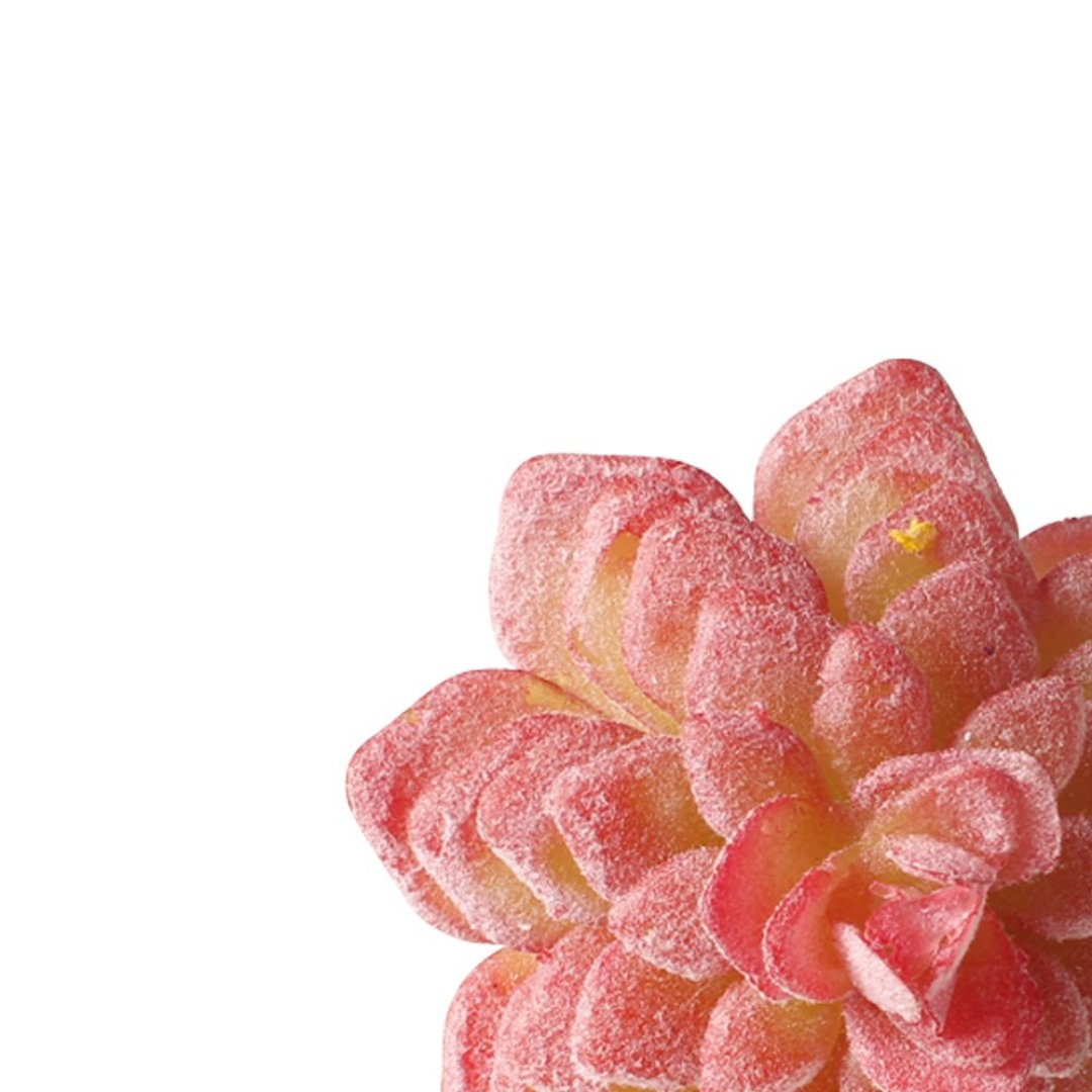 Fotografia para o produto Jogo de 4 aneis Suculenta para guardanapo em plástico 07xA8cm cor vermelha