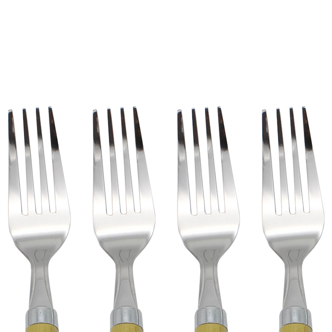 Fotografia para o produto Jogo de 4 garfos em aço inox com cabo plástico e caixa