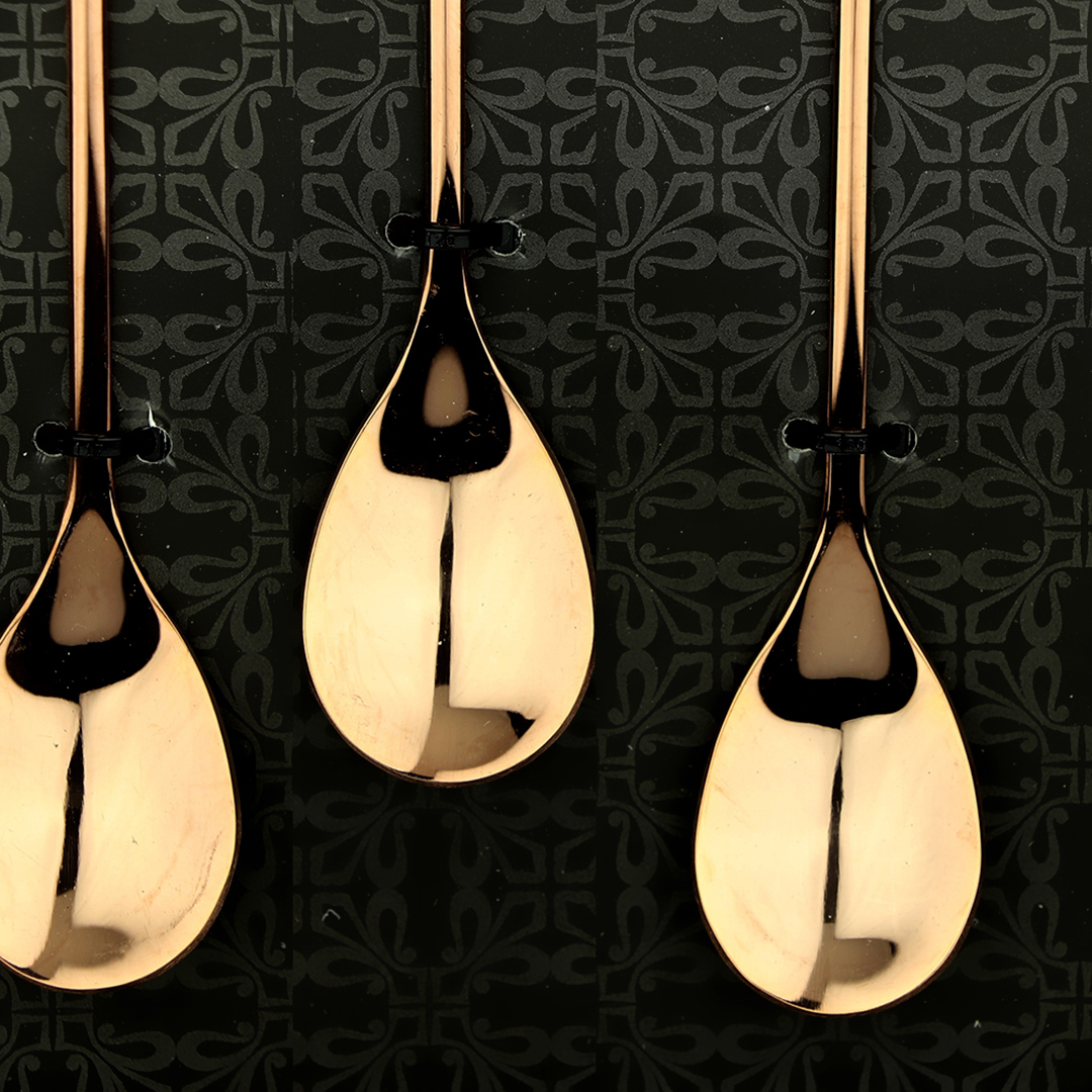 Fotografia para o produto Jogo de 6 colheres em aço inox