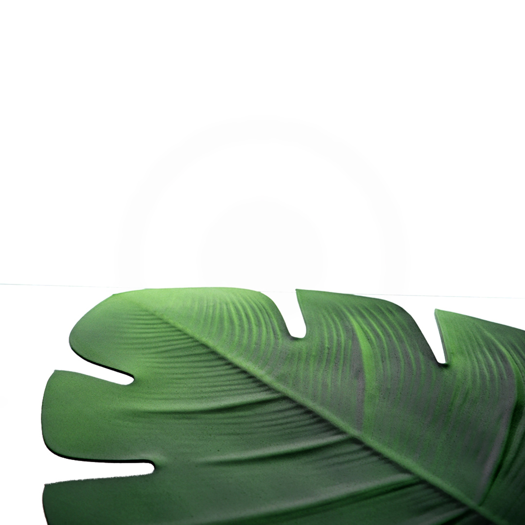 Fotografia para o produto Lugar americano em plástico Folhagem L46xP36cm