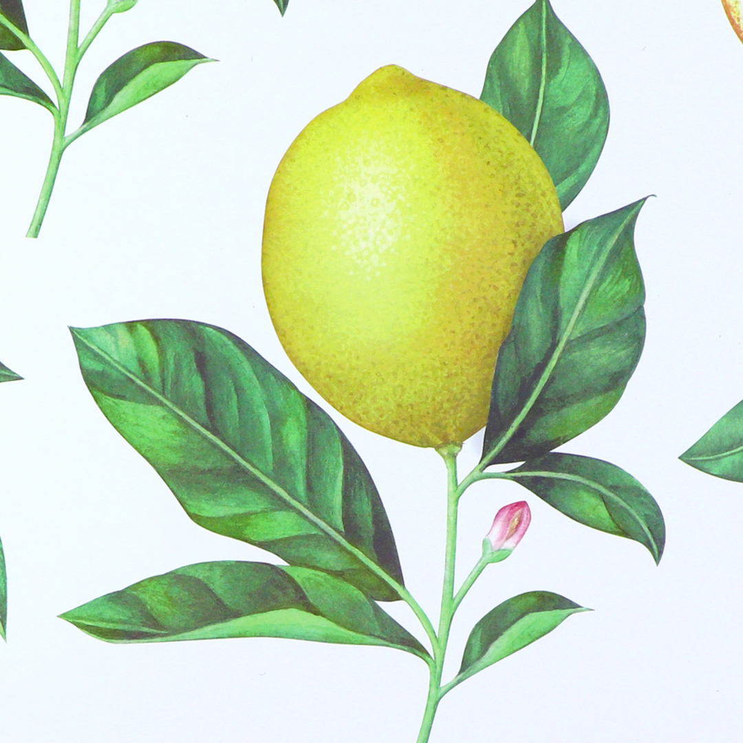 Fotografia para o produto Lugar Americano em plástico Limão L43,5xP28,5cm