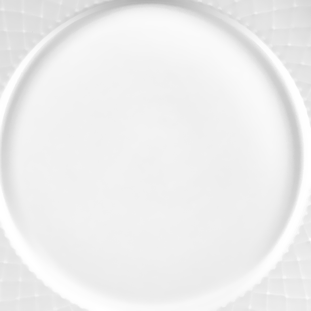 Fotografia para o produto Prato raso em porcelana 027,5cm