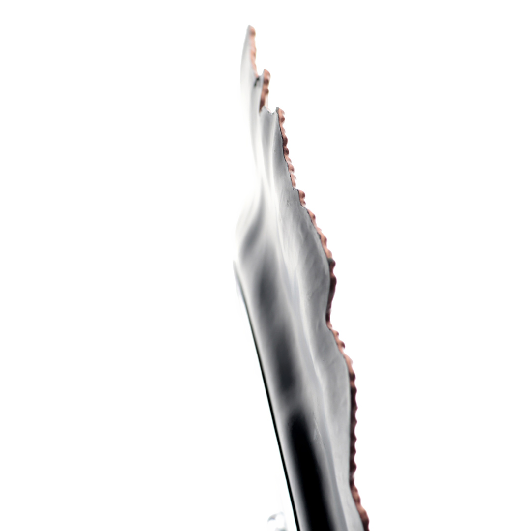 Fotografia para o produto Sousplat em plástico 036cm