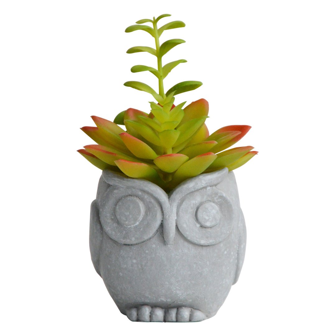 Imagem ilustrativa para Vaso com suculenta Coruja em cimento e plástico P7,5xL8,5xA8cm cinza