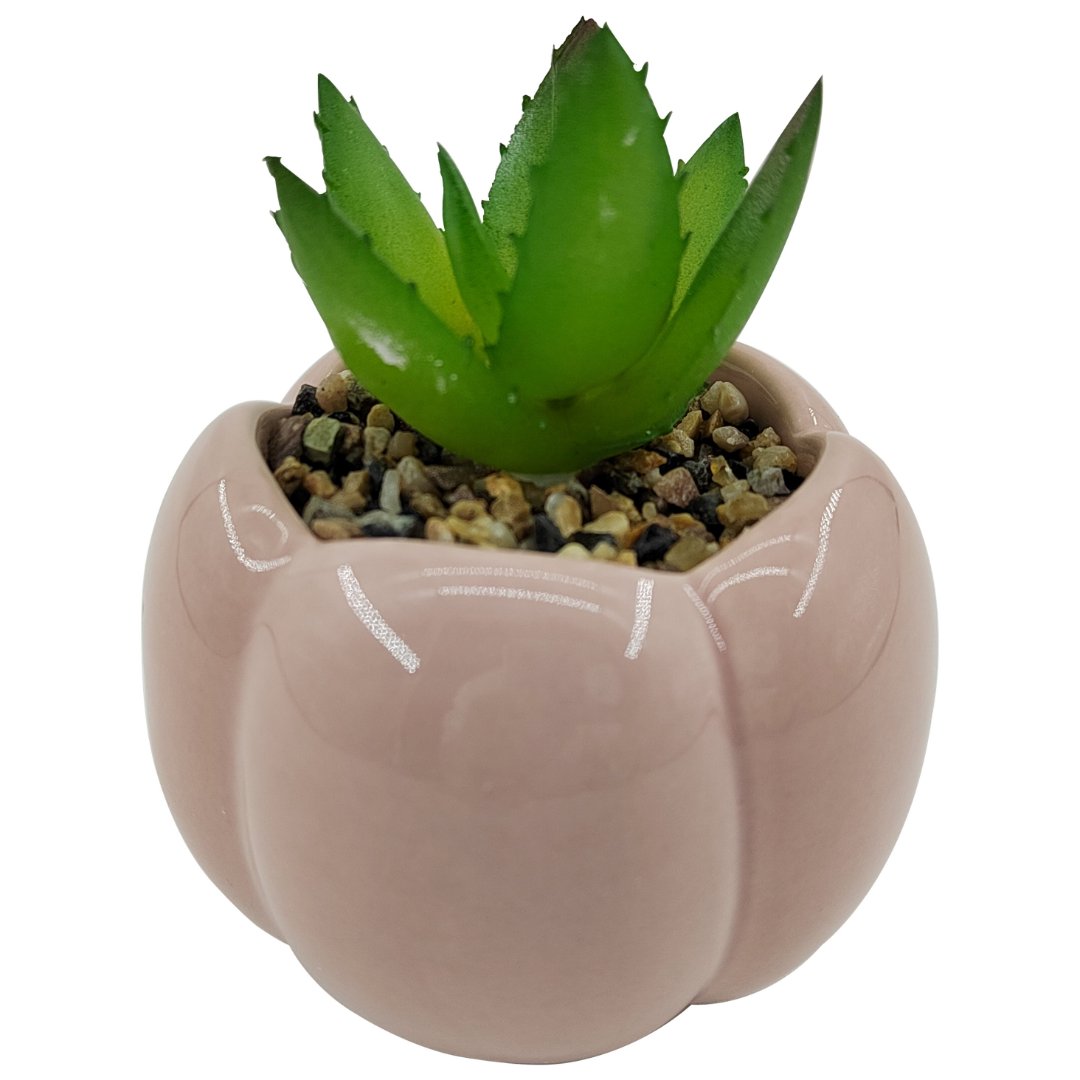 Imagem ilustrativa para Vaso com suculenta em dolomita e plástico 9,2xA12,8cm cor rosa