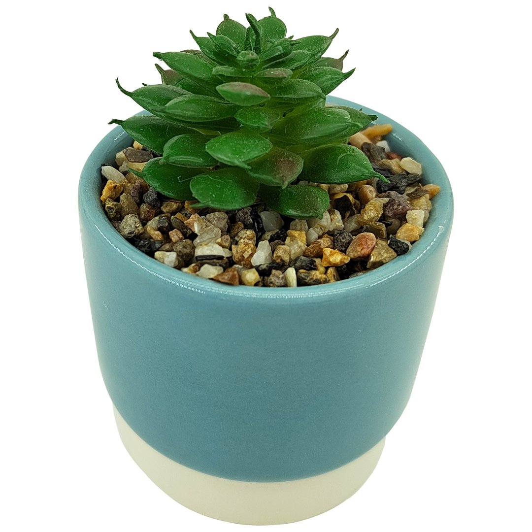Fotografia para o produto Vaso com suculenta em dolomita e plástico Ø6,8xA12,5cm cor azul