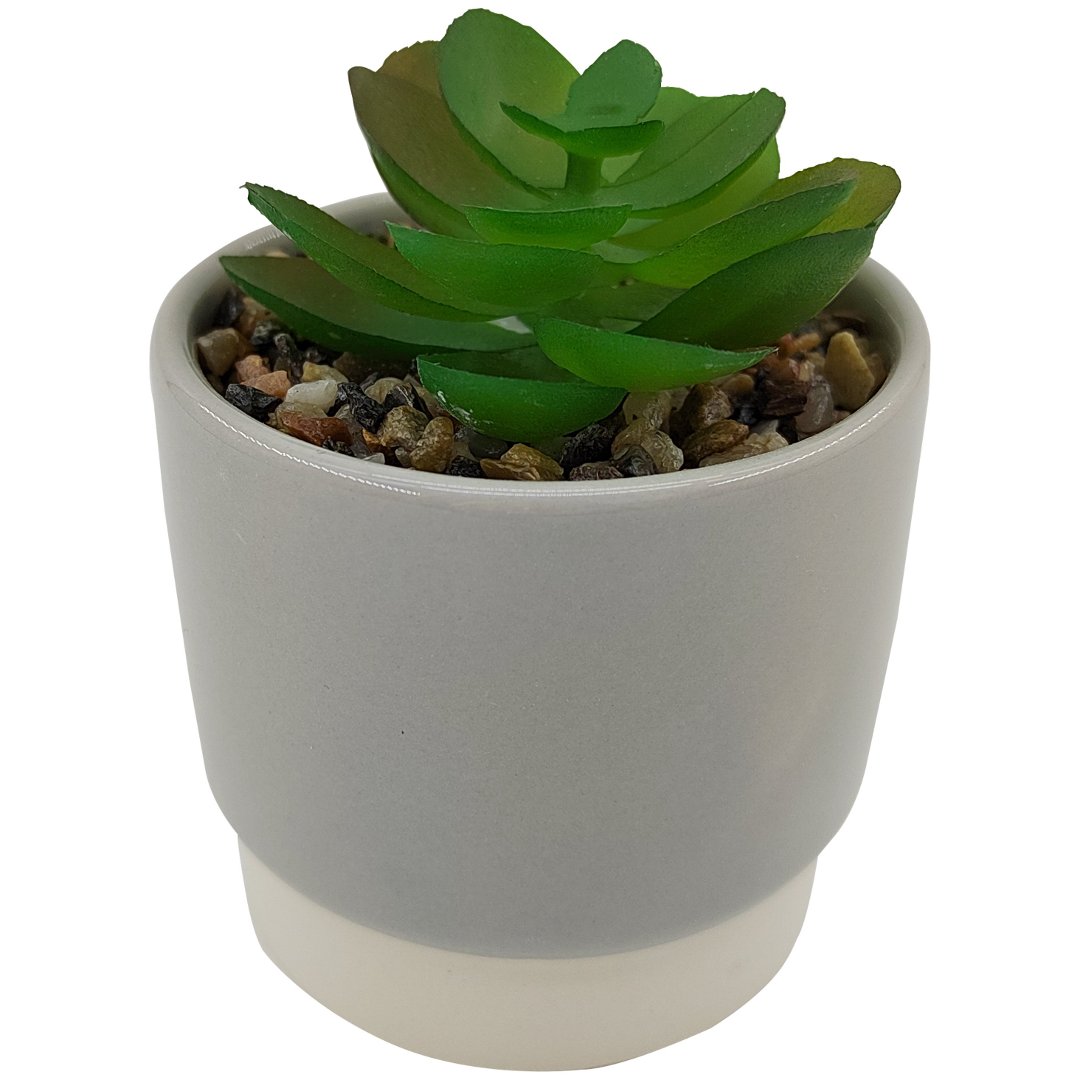 Fotografia para o produto Vaso com suculenta em dolomita e plástico Ø6,8xA12,5cm cor cinza