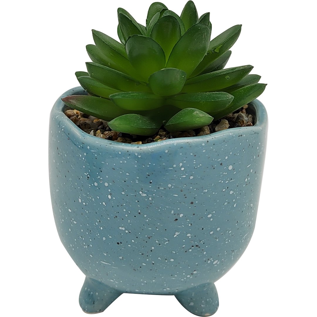 Imagem ilustrativa para Vaso com suculenta em dolomita e plástico D9xA12,5cm azul